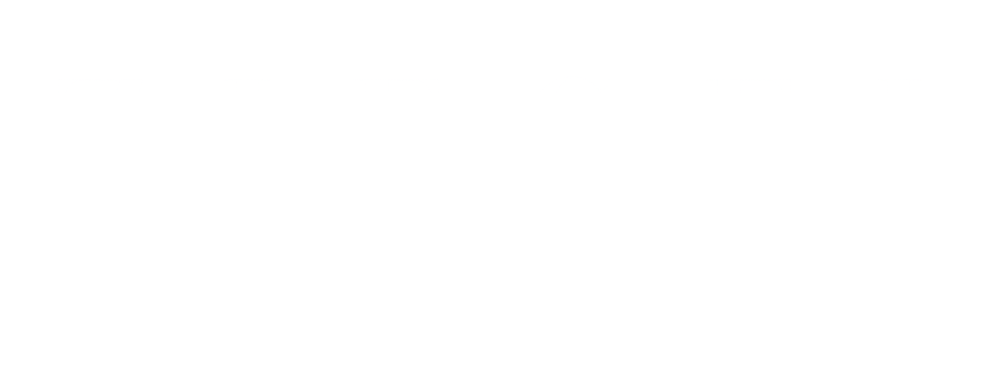 Ziegel logo